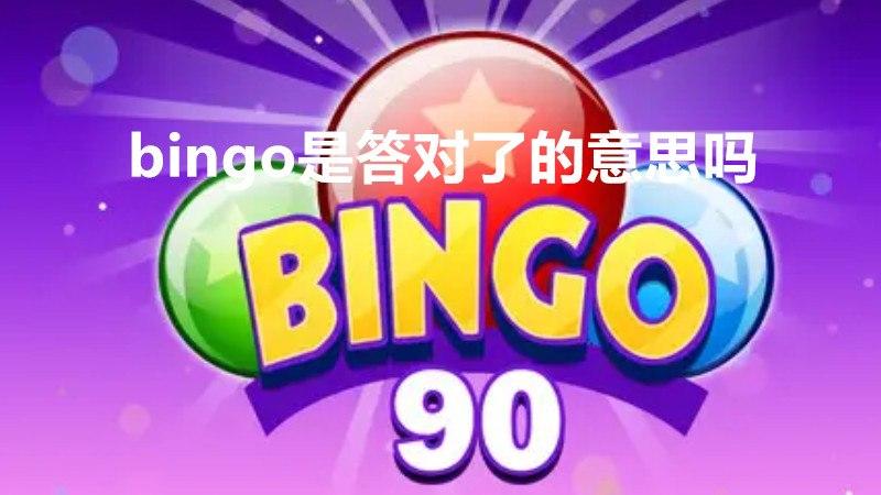 bingo备用app，bingo是什么意思