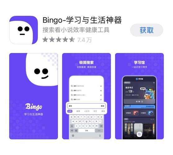 bingo电脑app，bingo电脑端